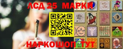 прущие крисы Бердск
