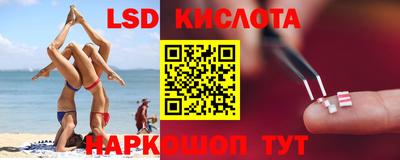 прущие крисы Бердск