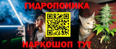 прущие крисы Бердск