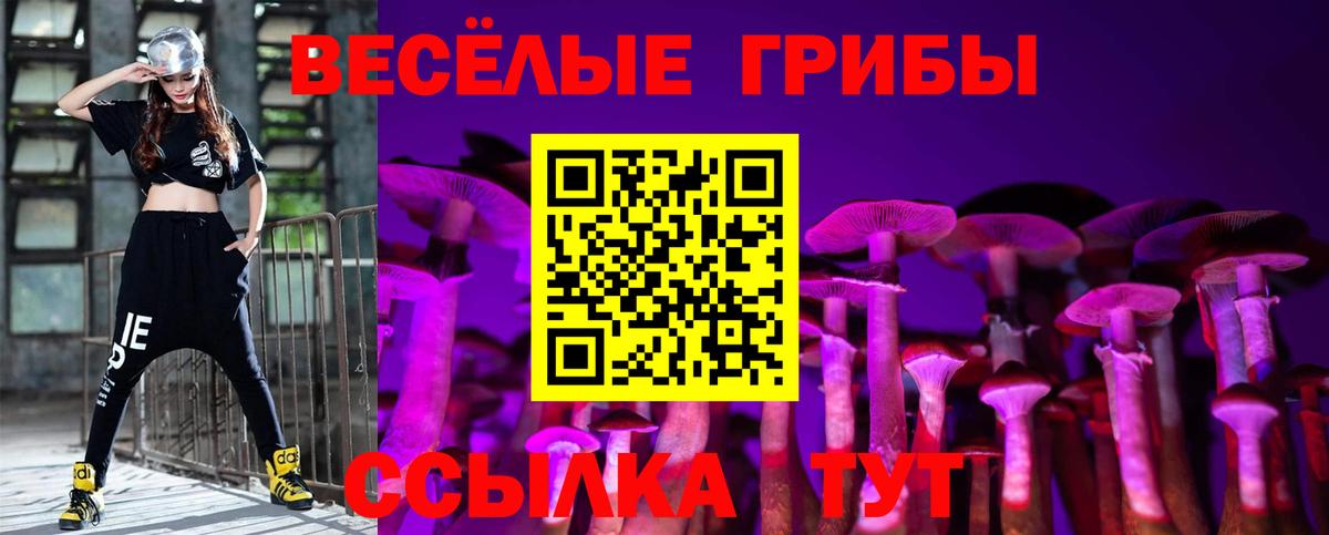 Галлюциногенные грибы GOLDEN TEACHER Губкин
